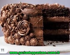 Gaziantep Çikolatalı fıstıklı yaş pasta